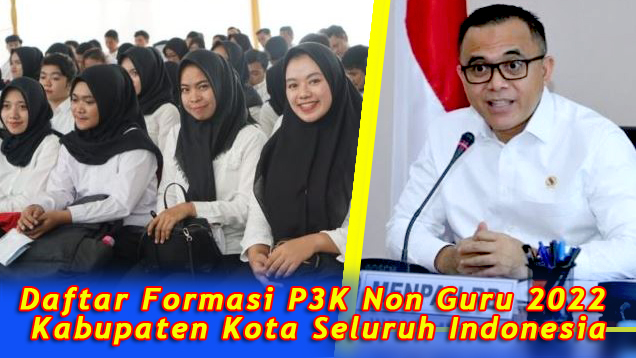 Ini Daftar Formasi P3K Non Guru 2022 Kabupaten Kota Seluruh Indonesia